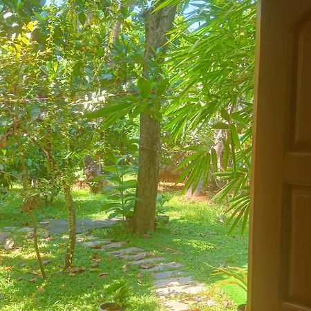 Mother'S Inn Homestay Kochi Екстер'єр фото